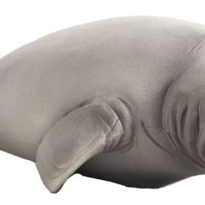 Mojo Manatee